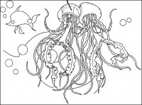 /album/momalovanky/a005-jpg/